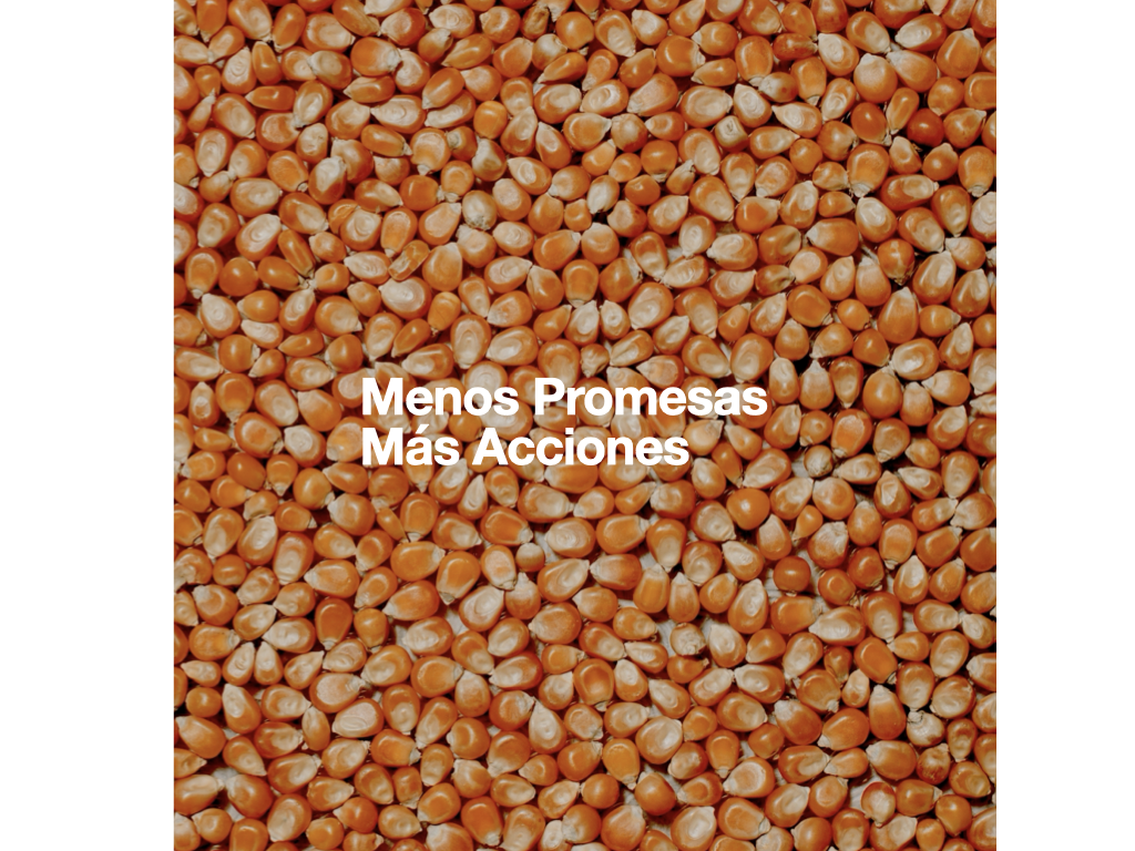 La mejor manera de comunicar sostenibilidad es primero hacerla posible. Cumplir antes de difundir. Transformar antes de medir.